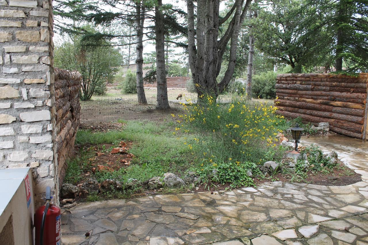 L'Hotel Du Bastier Ginasservis Luaran gambar